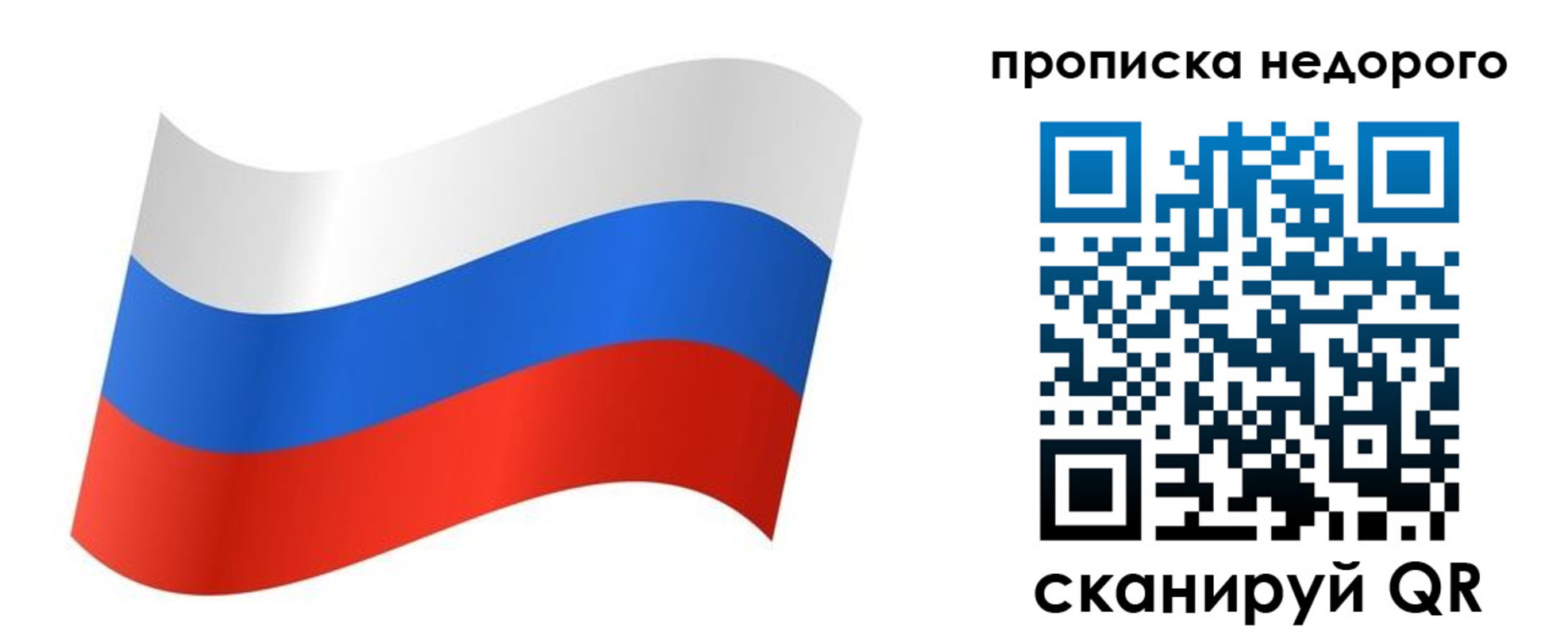 прописка поиск в Новосибирске